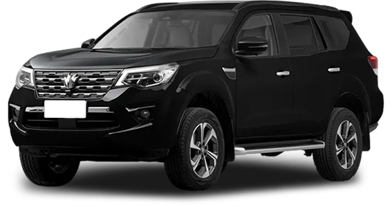 Баннер oting Paladin