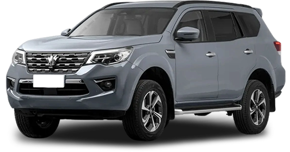 Баннер oting Paladin