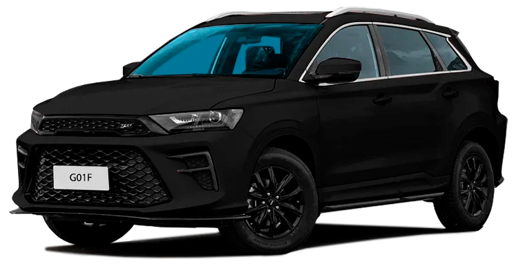 Баннер swm G01F