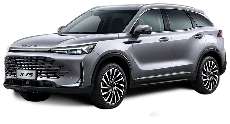 Баннер baic X75